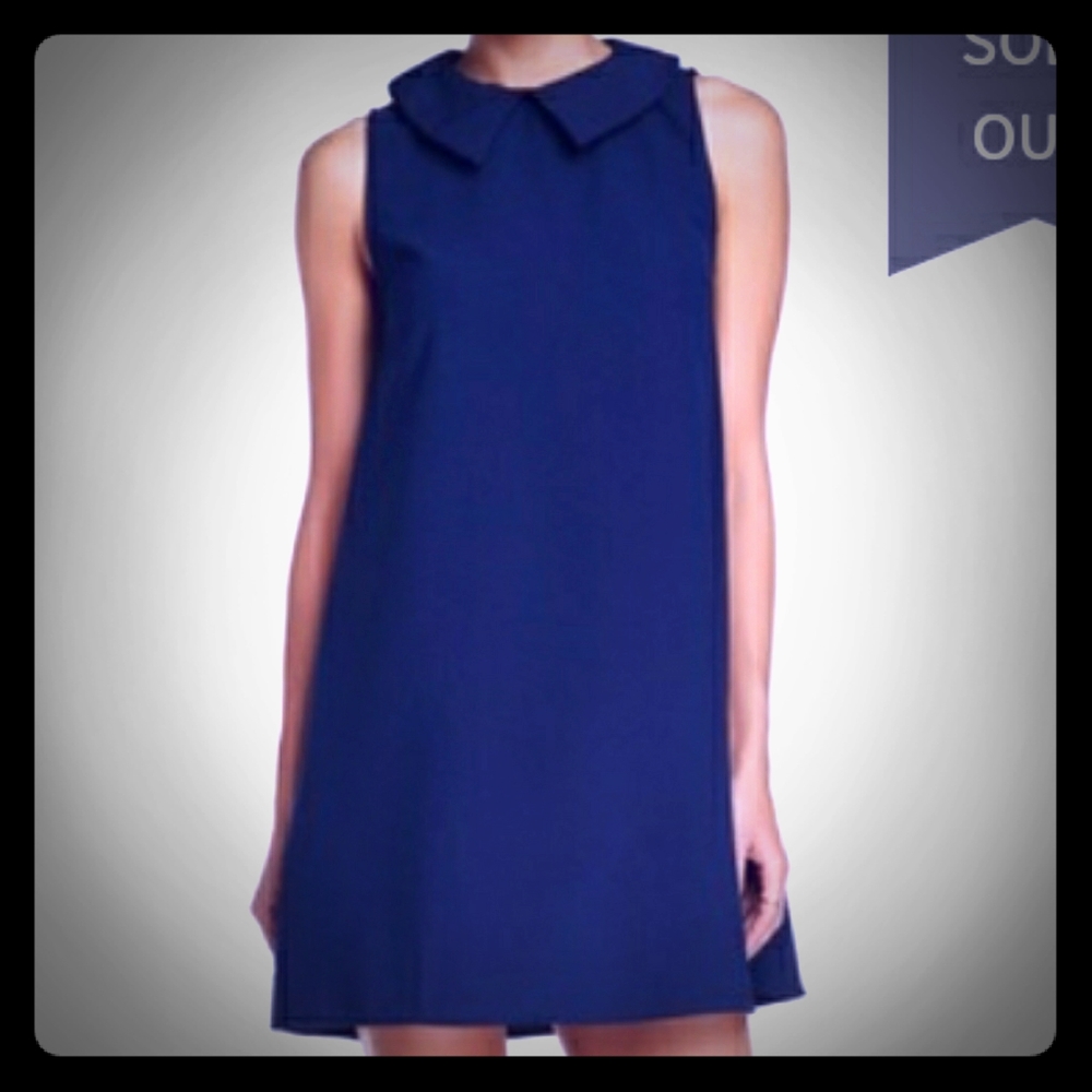 New Painted Threads XS Navy Shift Dress Collar